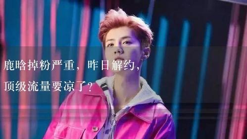 娱乐吃瓜解说全集